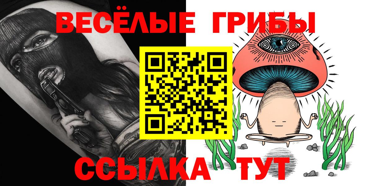 Псилоцибиновые грибы прущие грибы  Вход с VPN  Красноуфимск  Галлюциногенные грибы Psilocybe 
